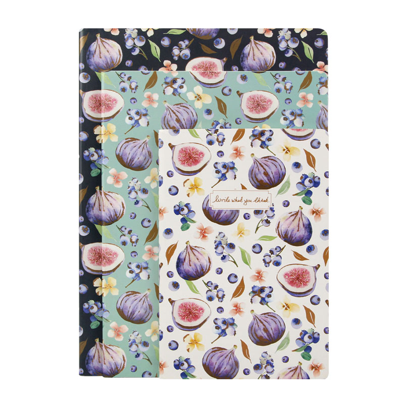 WF无花果系列车线本